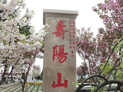 壽陽山墓園