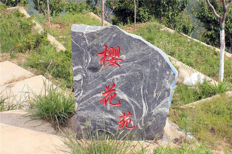 西安壽陽(yáng)山墓園櫻花苑