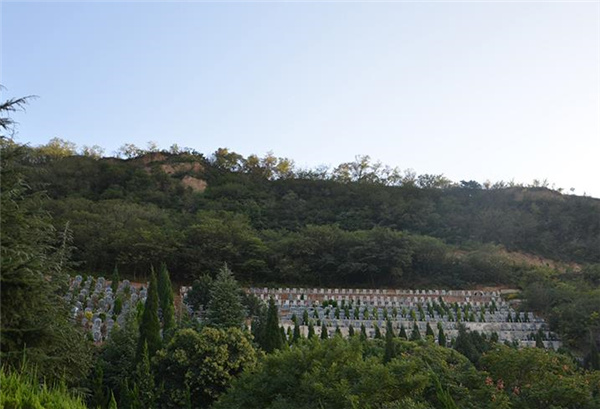 西安市高橋墓園情況怎么樣