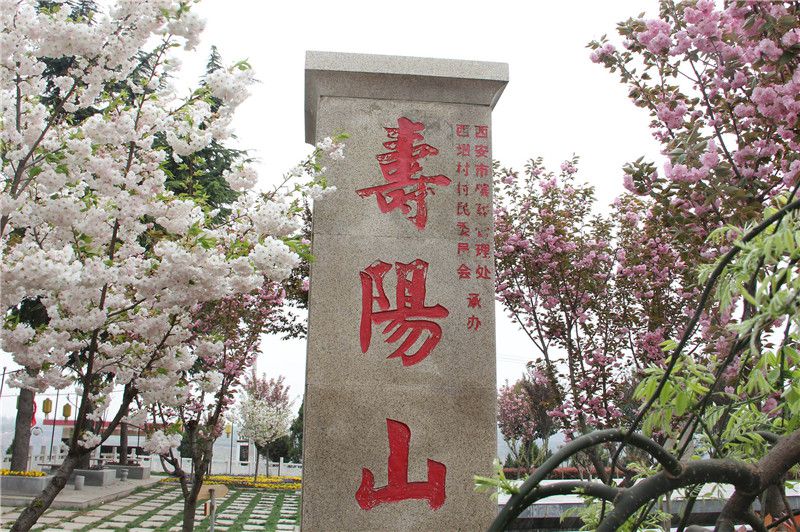 西安壽陽(yáng)山墓園